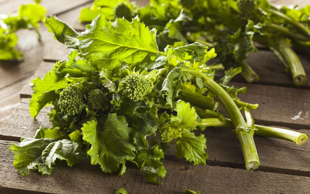 health-benefits-of-broccoli-rabe