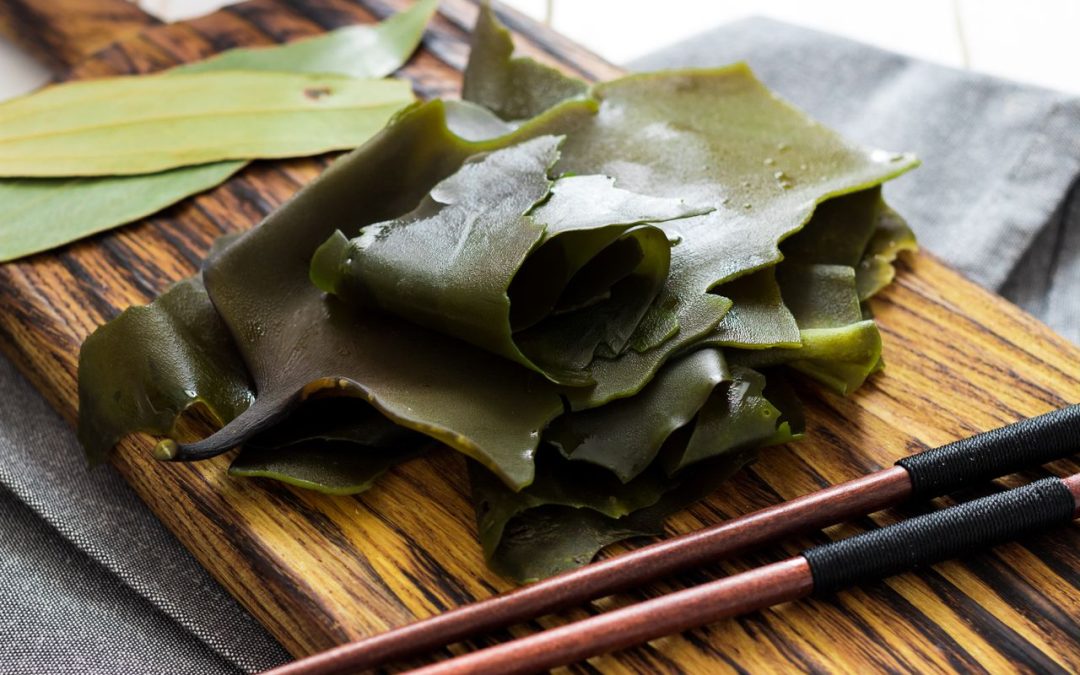 kombu:-the-magical-seaweed-to-cure-your-health-problems