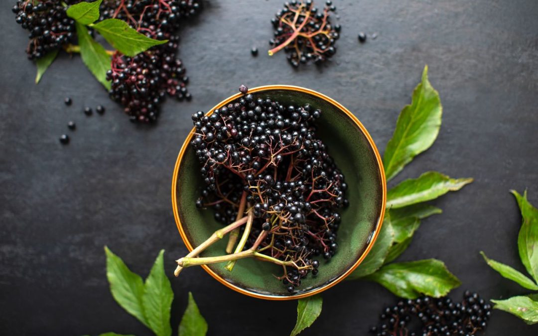 9-amazing-elderberry-health-benefits-that-you-didn't-know!