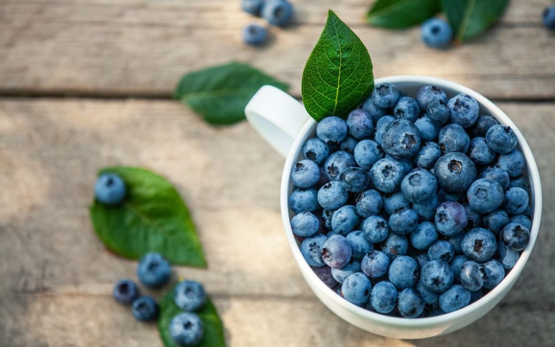 bilberry:-the-underrated-wonder-berry