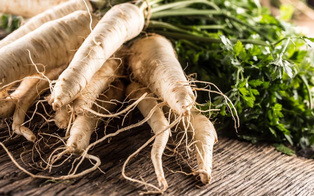 parsnip:-vegetable-with-the-goodness-of-nutrients