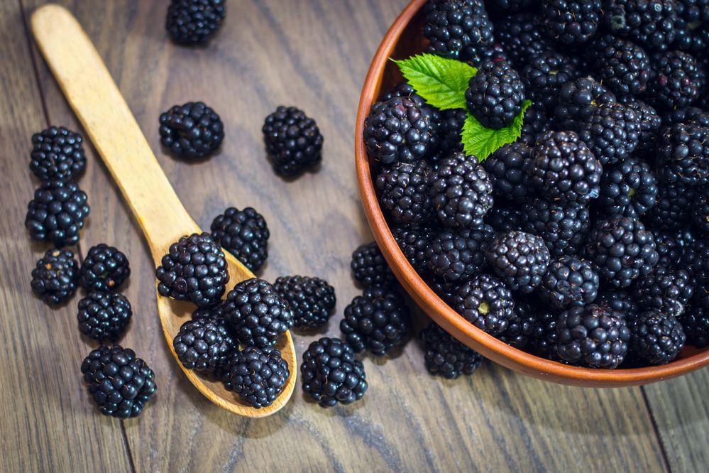 blackberry-fruit-–-benefits,-nutrition,-&-healthy-recipes