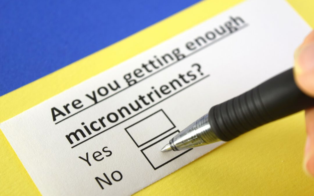 micronutrients:-important-facts-that-you-should-know