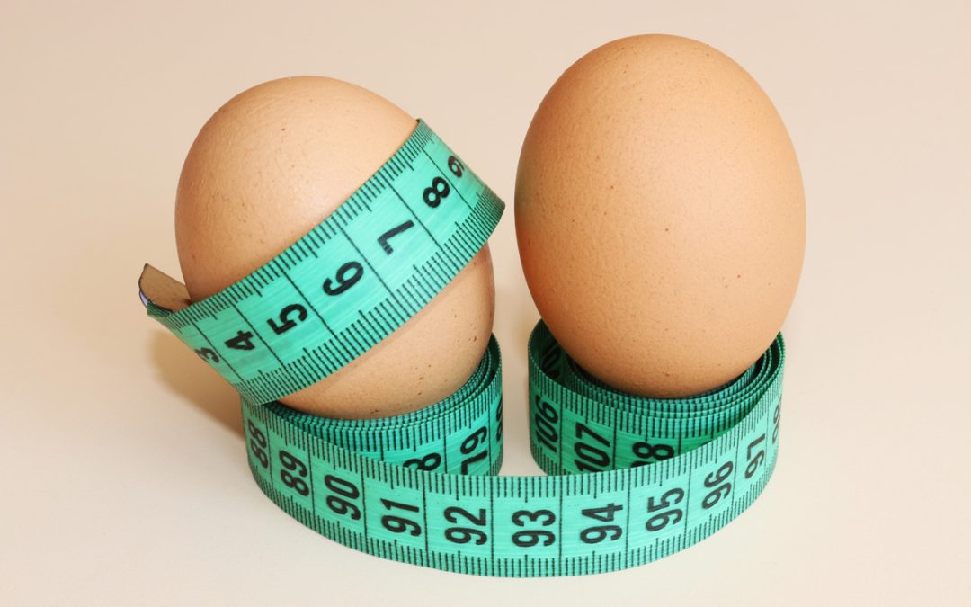 is-eggs-good-for-weight-loss?-find-out.