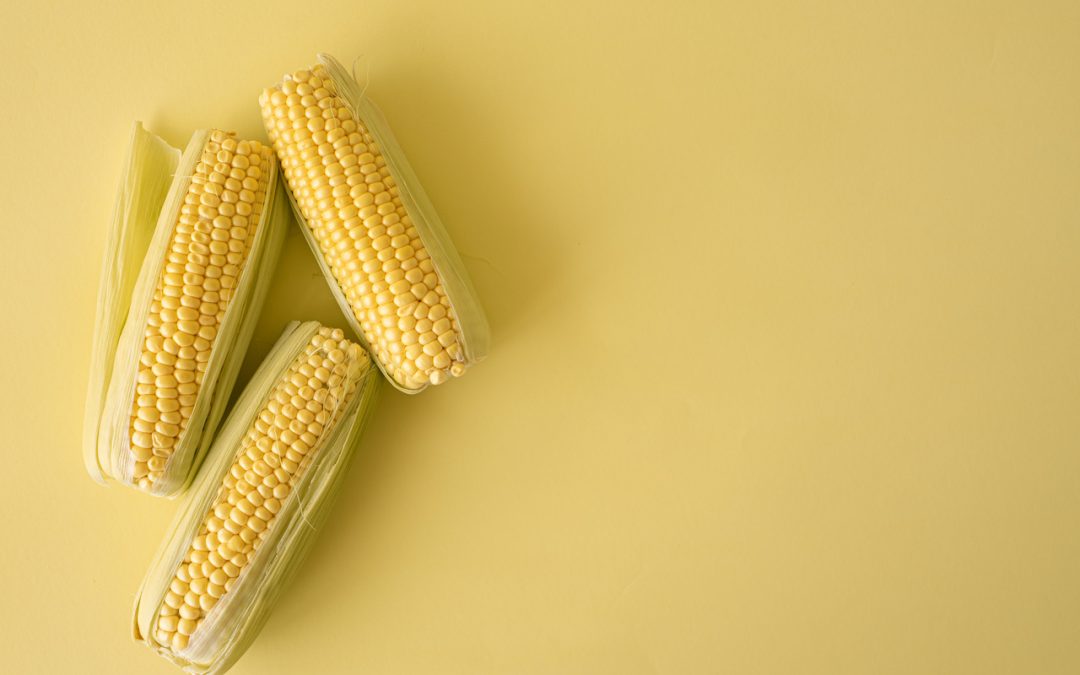 is-corn-good-for-diabetes?-a-detailed-guide