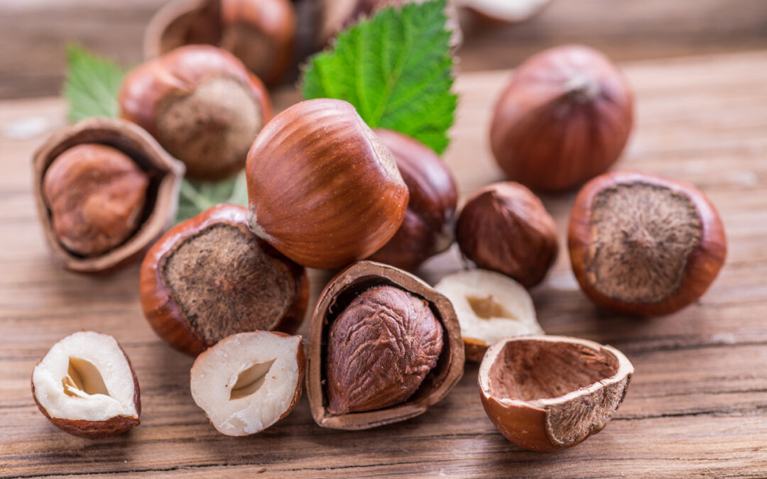 Hazelnuts: Reasons To Add Crunch To Your Life: HealthifyMe