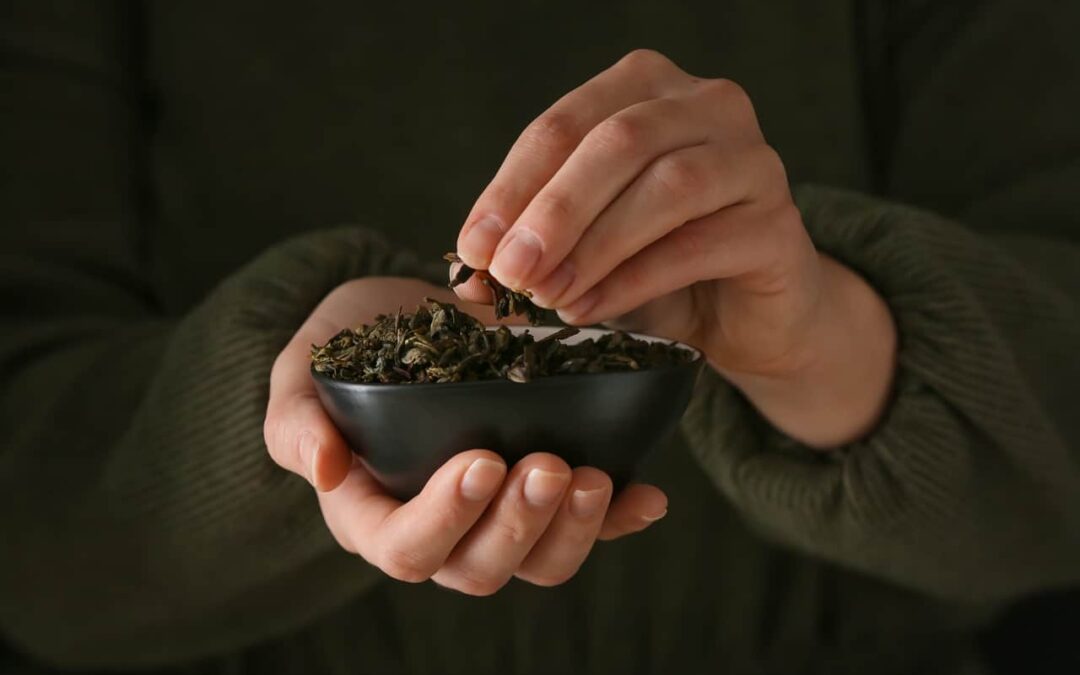 The Health Benefits Of Green Tea- HealthifyMe