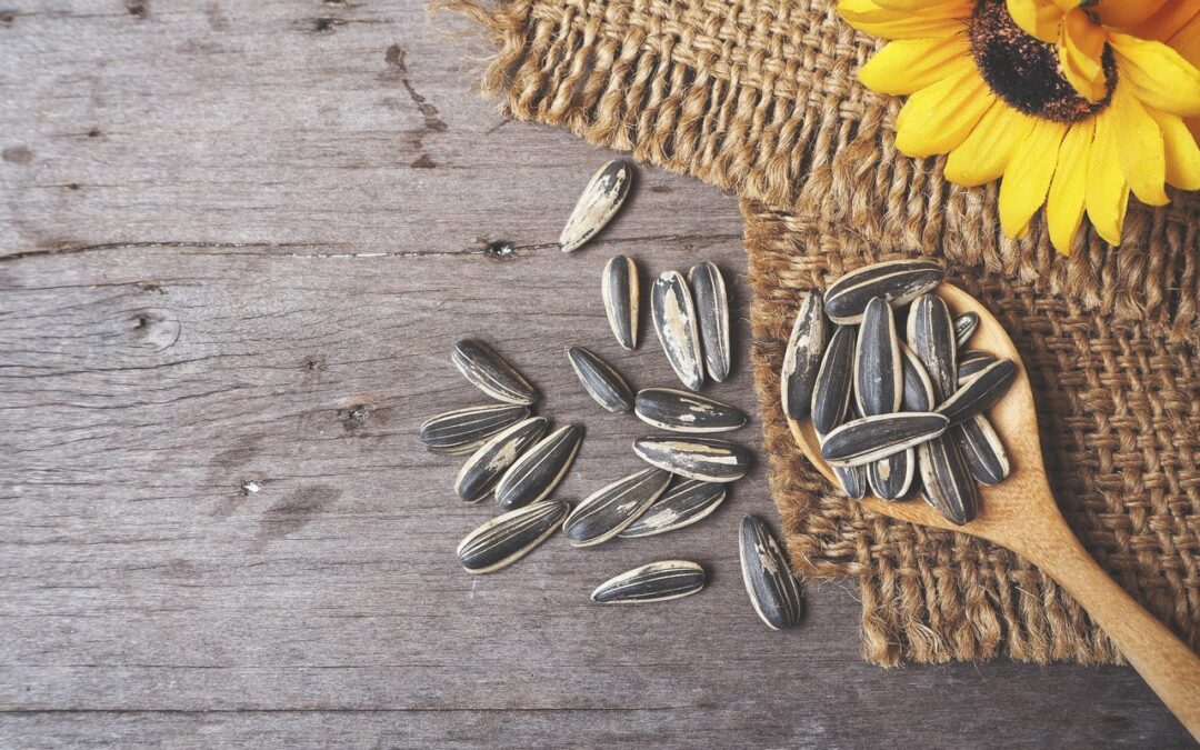 Sunflower Seeds And Its Health Benefits- HealthifyMe